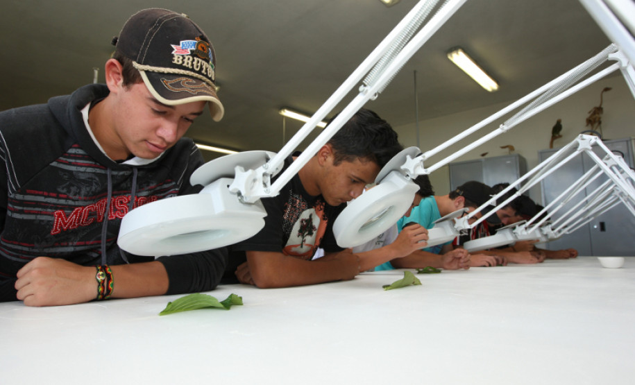 CASTRO-PR 19 DE FEVEREIRO DE 2013 - Centro Estadual de Educação Profissional Olegário Macedo - Educação Profissional dos Campos Gerais. Alunos (e) Murillo Augusto dos Anjos (e) Romulo Ruths.