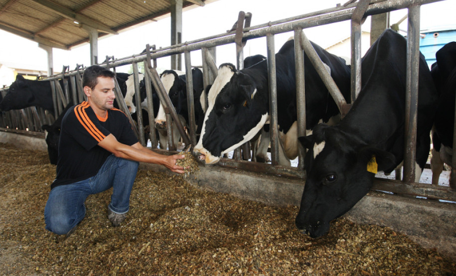 CASTRO-PR 19 DE FEVEREIRO DE 2013 - Centro Estadual de Educação Profissional Olegário Macedo - Educação Profissional dos Campos Gerais. Professor técnico João Fernando Machado.