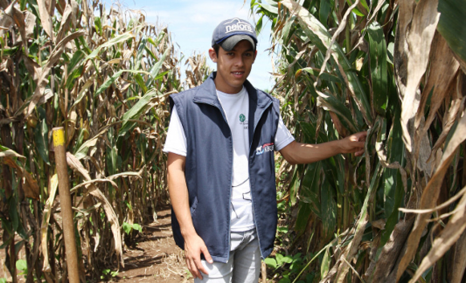 CASTRO-PR 19 DE FEVEREIRO DE 2013 - Centro Estadual de Educação Profissional Olegário Macedo - Educação Profissional dos Campos Gerais. Aluno Erison Vinicius Batista.