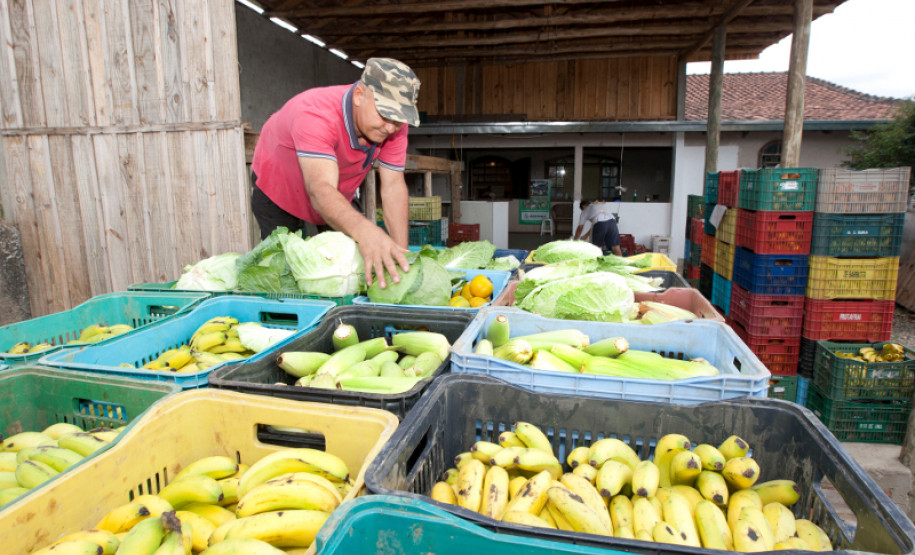 11-03-13 - Colombo - AOPA, Associação para Desenvolvimento da Agroecologia.