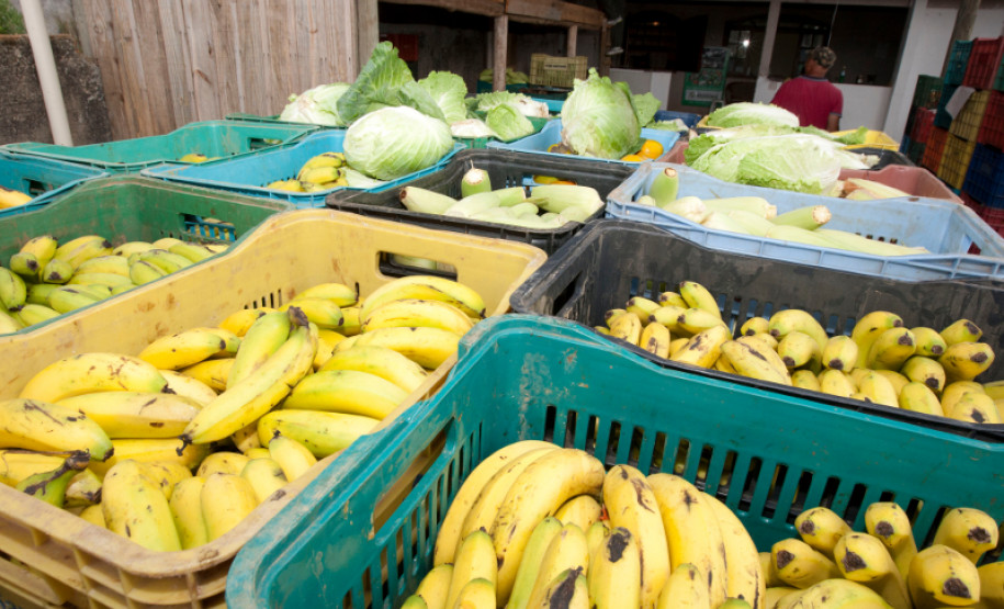 11-03-13 - Colombo - AOPA, Associação para Desenvolvimento da Agroecologia.
