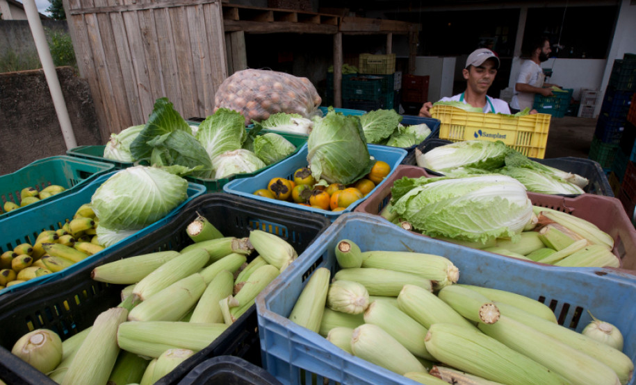 11-03-13 - Colombo - AOPA, Associação para Desenvolvimento da Agroecologia.