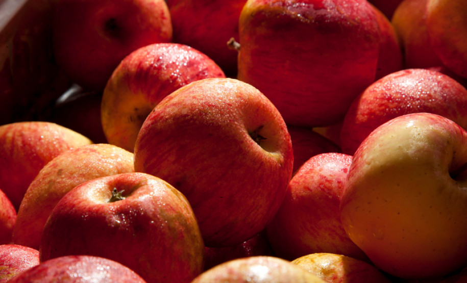 11-03-13 - Colombo - AOPA, Associação para Desenvolvimento da Agroecologia.