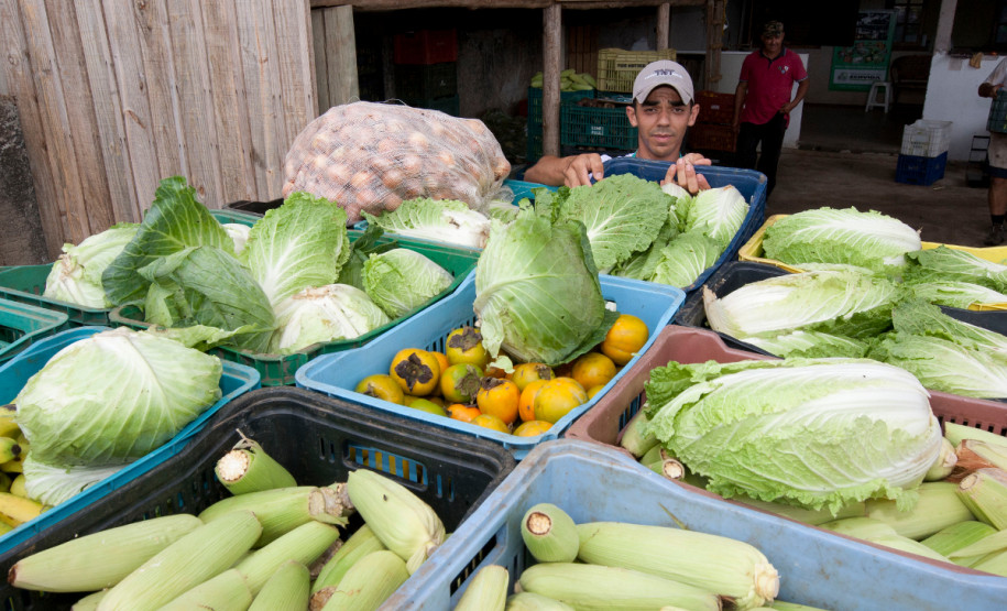 Entrega de alimentos da agricultura familiar