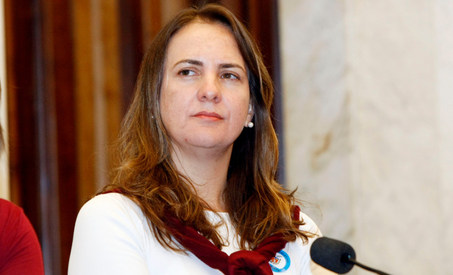 Curitiba - 23-04-13 - Reunião pública na Assembleia Legislativa do Paraná sobre o CONAE, na foto Cristiana Gonzaga da Secretaria de Educação.
