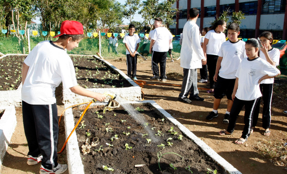 Colombo - 19-04-13 - Colégio Estadual Helena Kolody em Colombo, horta onde os alunos plantam e praticam matemática.