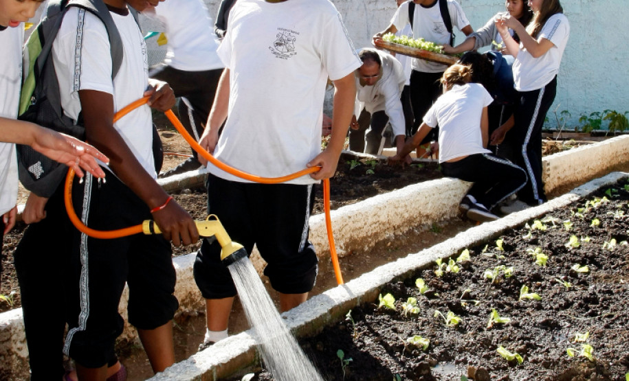 Colombo - 19-04-13 - Colégio Estadual Helena Kolody em Colombo, horta onde os alunos plantam e praticam matemática.