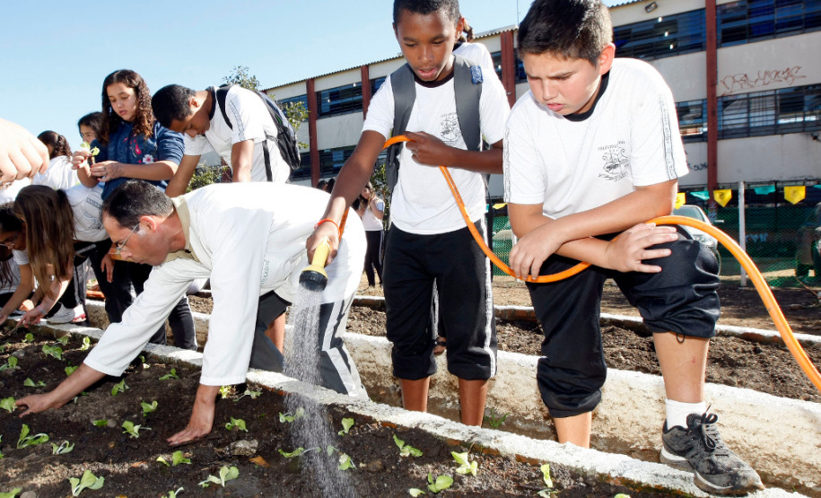Colombo - 19-04-13 - Colégio Estadual Helena Kolody em Colombo, horta onde os alunos plantam e praticam matemática.