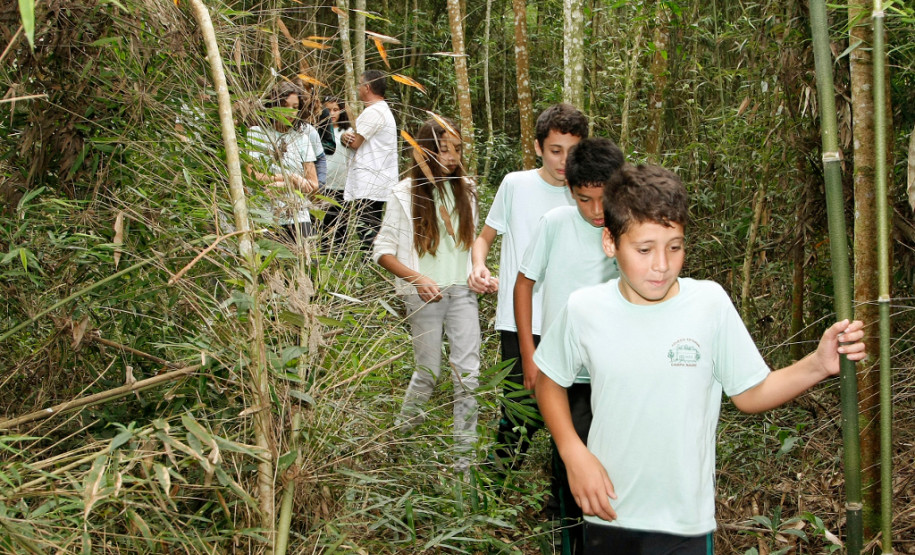 Campo Magro - 23-04-13 - Colégio Estadual Campo Magro, alunos andam pela trilha feita pelos professores no colégio.