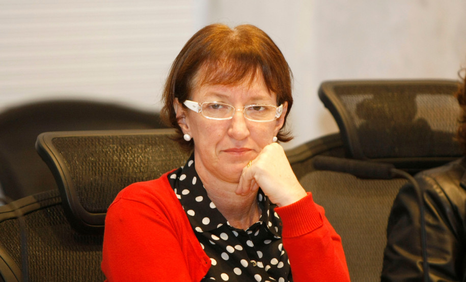21-05-13 - Palácio Iguaçu - Fórum Permanente de Apoio à Formação Docente do Paraná. Maria Luiza Furlan Costa Diretora do Núcleo de Educacao da UEM.