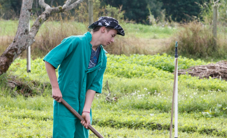 04-06-13 - Pinhais, Centro Estadual de Educação Profissional Newton Freire Maia, alunos tem aula prática de plantio.