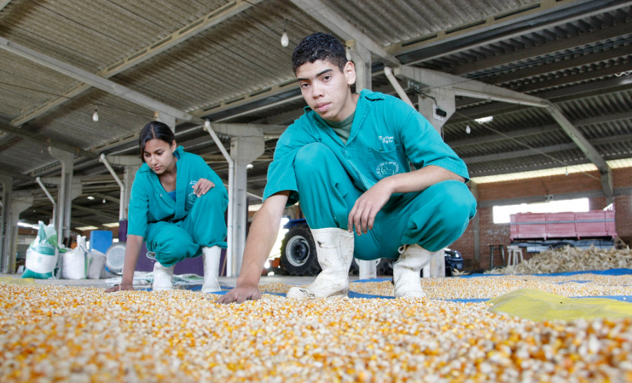 04-06-13 - Pinhais, Centro Estadual de Educação Profissional Newton Freire Maia, alunos tem aula prática de plantio, na foto os alunos Thalyson Sergio Elias de 16 anos do primeiro ano e Larana Aparecida Mangger de 15 anos do primeiro ano.