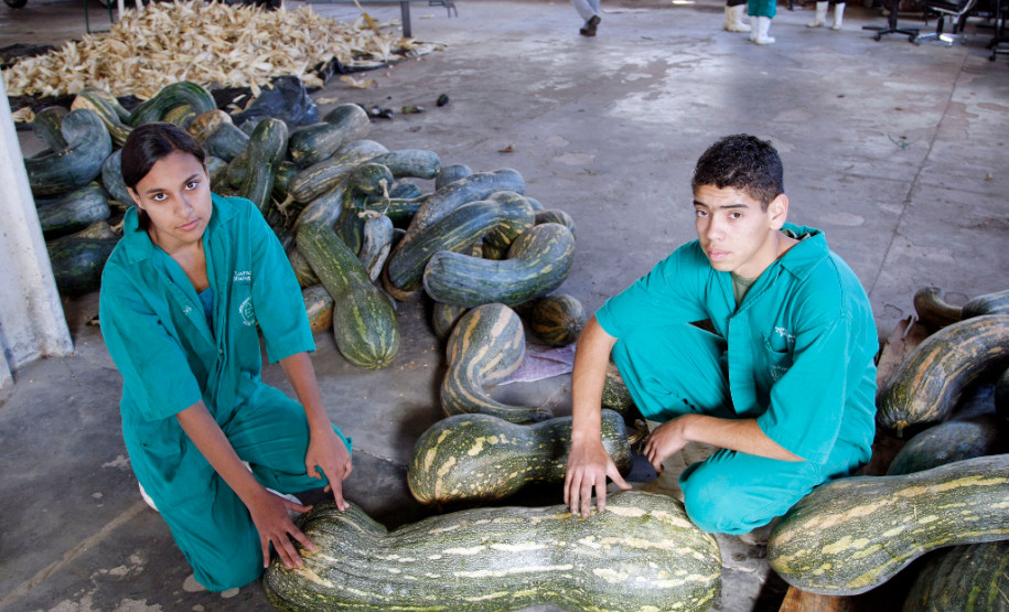 04-06-13 - Pinhais, Centro Estadual de Educação Profissional Newton Freire Maia, alunos tem aula prática de plantio, na foto os alunos Thalyson Sergio Elias de 16 anos do primeiro ano e Larana Aparecida Mangger de 15 anos do primeiro ano.