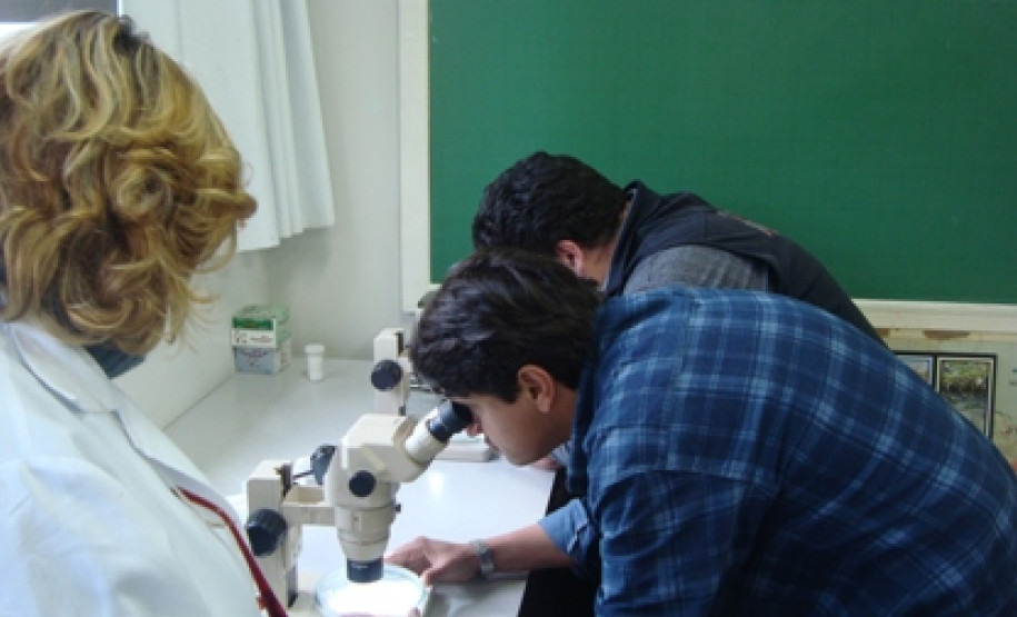 Sessenta professores da rede estadual da Educação dos Núcleos Regionais de Educação de Curitiba, Área Metropolitana Norte e Área Metropolitana Sul participaram, nessa semana, em Curitiba, do 21º Curso de Solos Para Professores promovido pela Secretaria de Estado da Educação em parceria com a Universidade Federal do Paraná e o Sociedade Brasileira de Ciência do Solo.