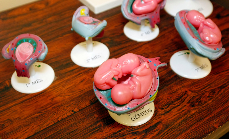 Colégio Estadual São Pedro Apóstolo com novos materiais para o curso de enfermagem. 12-08-13.