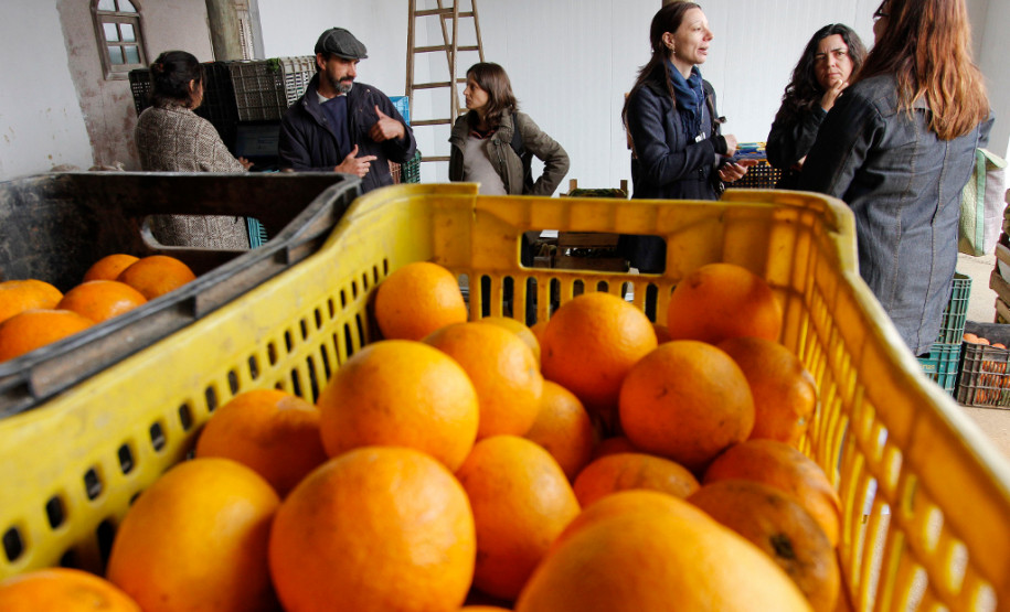 Prefeitura de São Paulo estuda alimentação escolar paranaense Equipe da Prefeitura de São Paulo conhece o sistema de distribuição de alimentos orgânicos produzidos pela agricultura familiar, para as escolas estaduais. Curitiba, 19/08/2013.