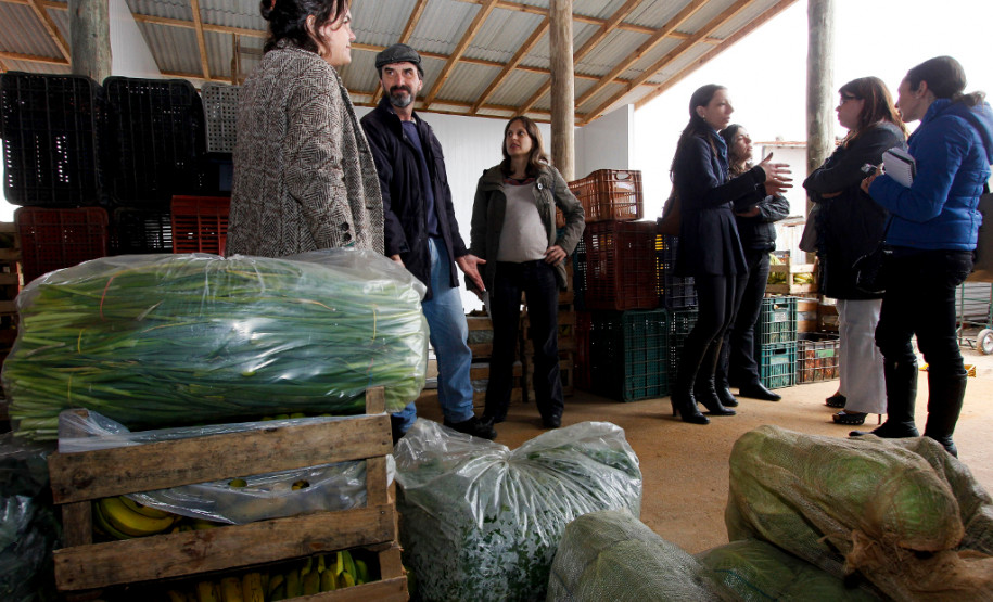 Prefeitura de São Paulo estuda alimentação escolar paranaense Equipe da Prefeitura de São Paulo conhece o sistema de distribuição de alimentos orgânicos produzidos pela agricultura familiar, para as escolas estaduais. Na foto, o produtor rural, José Antonio da Silva Marfil, conversa com Danuta Chmielewska, Flavia Albuqyerque e Erika Espindola Fischer. Curitiba, 19/08/2013.