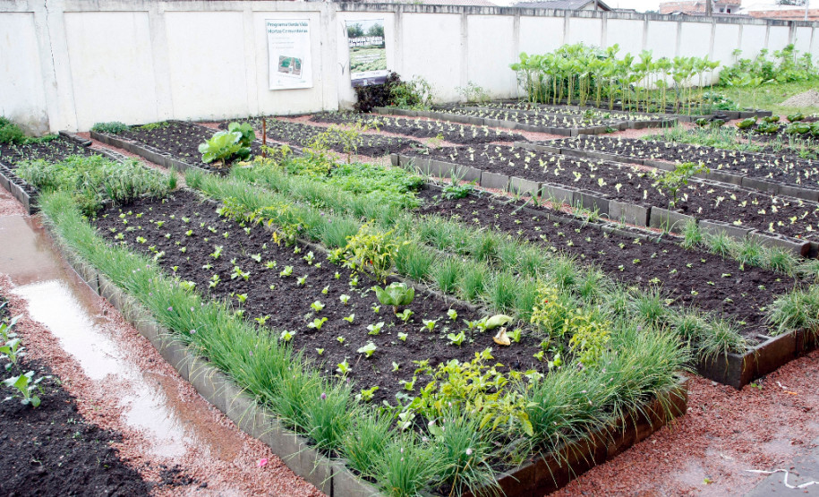 20-06-13 - Colégio Estadual Ipê em São José dos Pinhais. Colégio implanta sistema sustentável com horta, árvores, jardim, rádio escola.