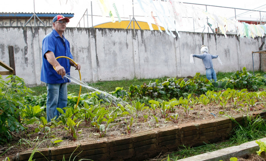 10-06-13 - Colégio Estadual Algacyr Munhoz Maer, alunos usam a horta para ter prova de inglês.