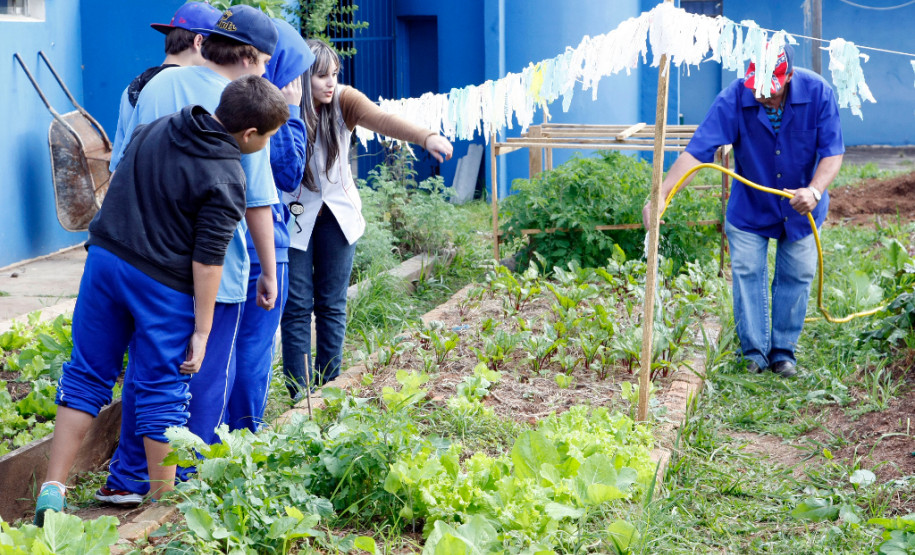 10-06-13 - Colégio Estadual Algacyr Munhoz Maer, alunos usam a horta para ter prova de inglês.