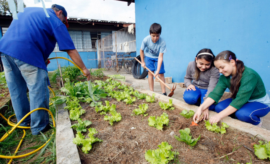 10-06-13 - Colégio Estadual Algacyr Munhoz Maer, alunos usam a horta para ter prova de inglês.
