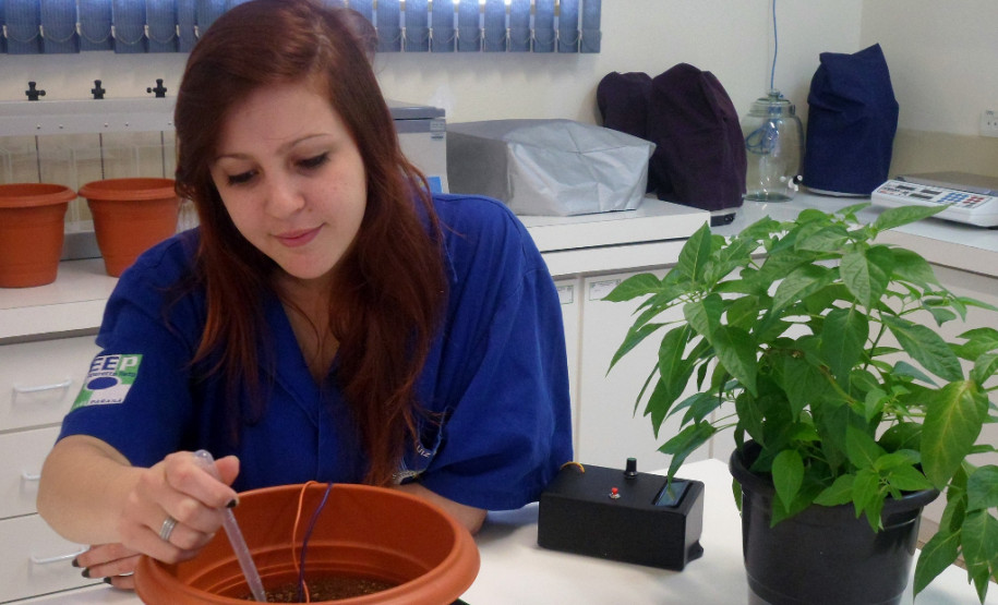 Maria Caroline concorreu, neste ano, ao prêmio da 3.ª edição da Feira de Ciências Internacional da empresa Google (Science Fair). O projeto apresentado por ela foi “Tecnologia para o uso racional da água”, que também está concorrendo ao Prêmio Jovem Cientista do Conselho Nacional de Desenvolvimento Científico e Tecnológico (CNPq).