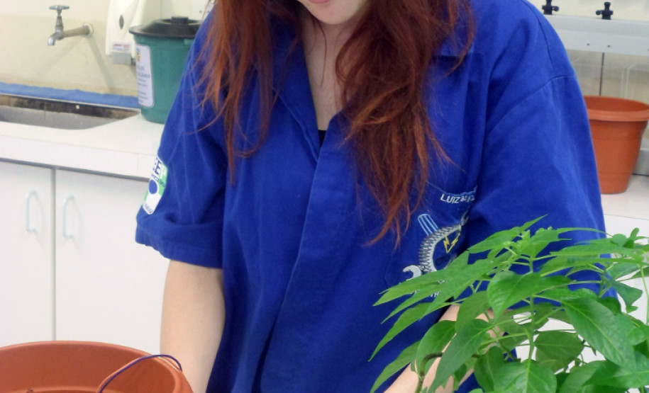 Maria Caroline concorreu, neste ano, ao prêmio da 3.ª edição da Feira de Ciências Internacional da empresa Google (Science Fair). O projeto apresentado por ela foi “Tecnologia para o uso racional da água”, que também está concorrendo ao Prêmio Jovem Cientista do Conselho Nacional de Desenvolvimento Científico e Tecnológico (CNPq).