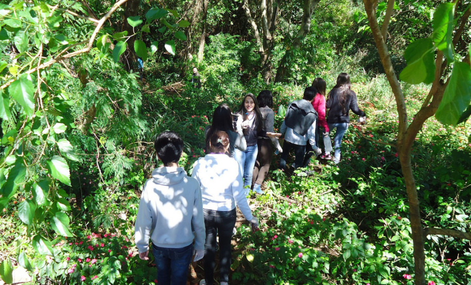 Alunos do Colégio Pioneiros de Foz do Iguaçu começaram, nesta quarta-feira (25), o monitoramento do Rio Sanga Romão, que passa próximo ao Colégio e é um dos afluentes do Rio Boicy, um dos mais importantes do município.