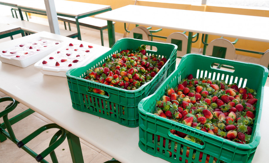 Em Prudentópolis, na região Central do Paraná, as merendeiras Marilda de Lima e Silvana Zdebski, do Colégio Estadual Alberto de Carvalho, usam as frutas em diversas receitas. Entre as várias opções, o sorvete natural de morango fez sucesso entre os alunos.