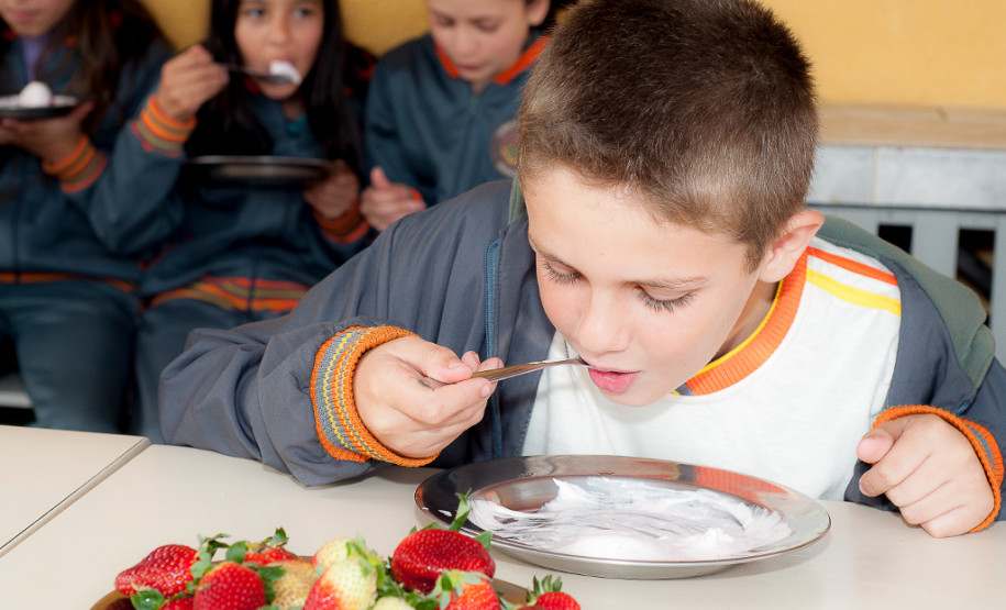 Em Prudentópolis, na região Central do Paraná, as merendeiras Marilda de Lima e Silvana Zdebski, do Colégio Estadual Alberto de Carvalho, usam as frutas em diversas receitas. Entre as várias opções, o sorvete natural de morango fez sucesso entre os alunos.