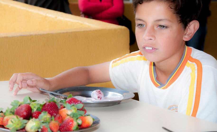Em Prudentópolis, na região Central do Paraná, as merendeiras Marilda de Lima e Silvana Zdebski, do Colégio Estadual Alberto de Carvalho, usam as frutas em diversas receitas. Entre as várias opções, o sorvete natural de morango fez sucesso entre os alunos.