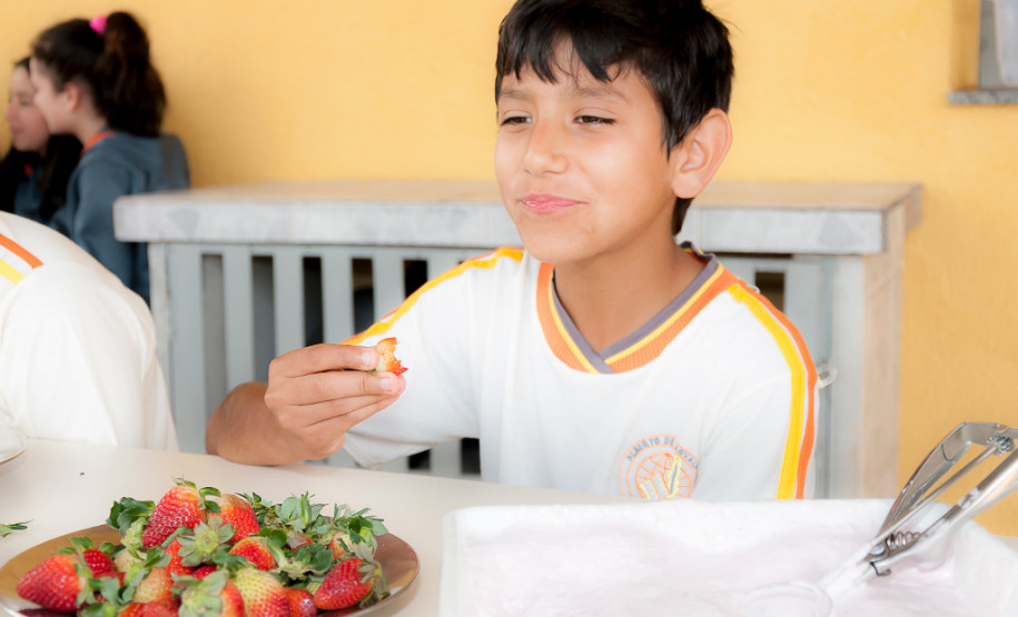 Em Prudentópolis, na região Central do Paraná, as merendeiras Marilda de Lima e Silvana Zdebski, do Colégio Estadual Alberto de Carvalho, usam as frutas em diversas receitas. Entre as várias opções, o sorvete natural de morango fez sucesso entre os alunos.