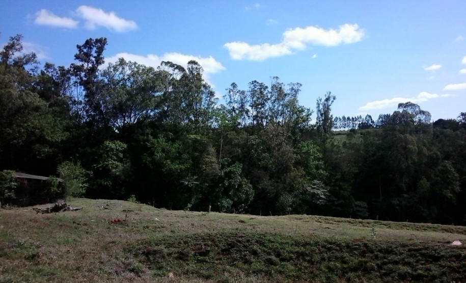 Amostras de água e de resíduos do Ribeirão do Ema foram coletadas por alunos do 2.º ano do Ensino Médio do Colégio Estadual Professor Francisco Villanueva, em Rolândia.