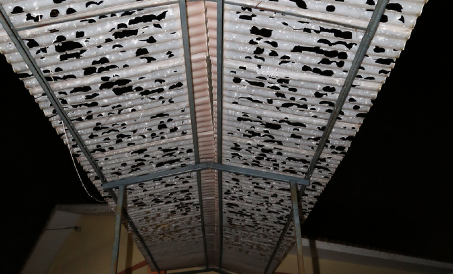 A liberação dos recursos foi anunciada no final da tarde de quinta-feira (3), após o secretário Flávio Arns visitar Colégio Estadual Duque de Caxias em Corbélia. <br />
<br />
Veja mais fotos em: <a href=" http://www.flickr.com/photos/flavioarns/sets/72157636173877876/" target="_blank"> http://www.flickr.com/photos/flavioarns </a>