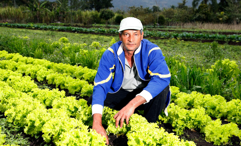 Paranaguá, agricultura familiar, produção orgânica do produtor João Luiz dos Santos. 06-09-13.