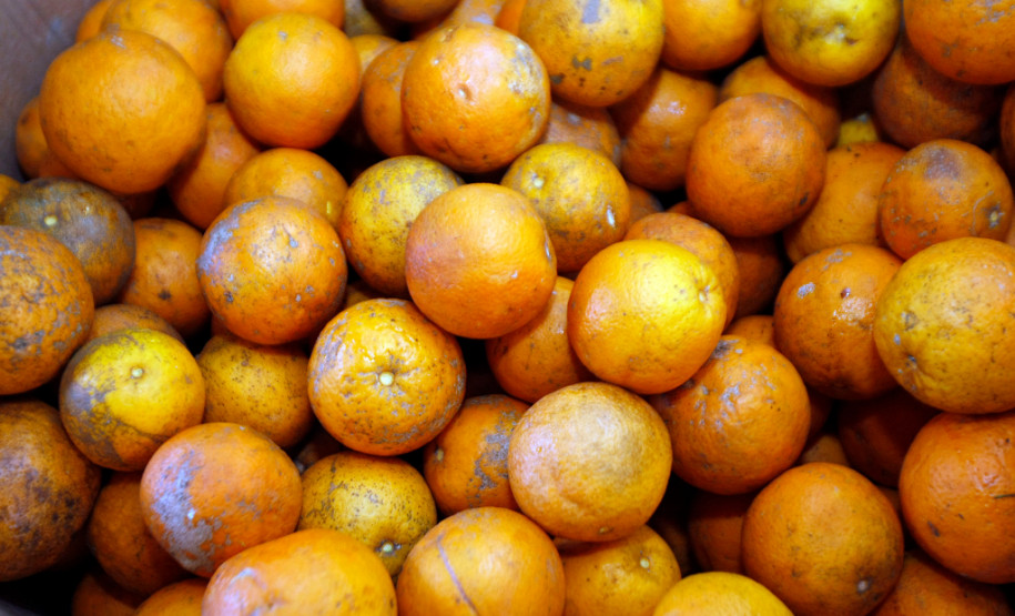 Apae de Coronel Vivida recebe alimentos da agrigultura familiar. 28-08-13.