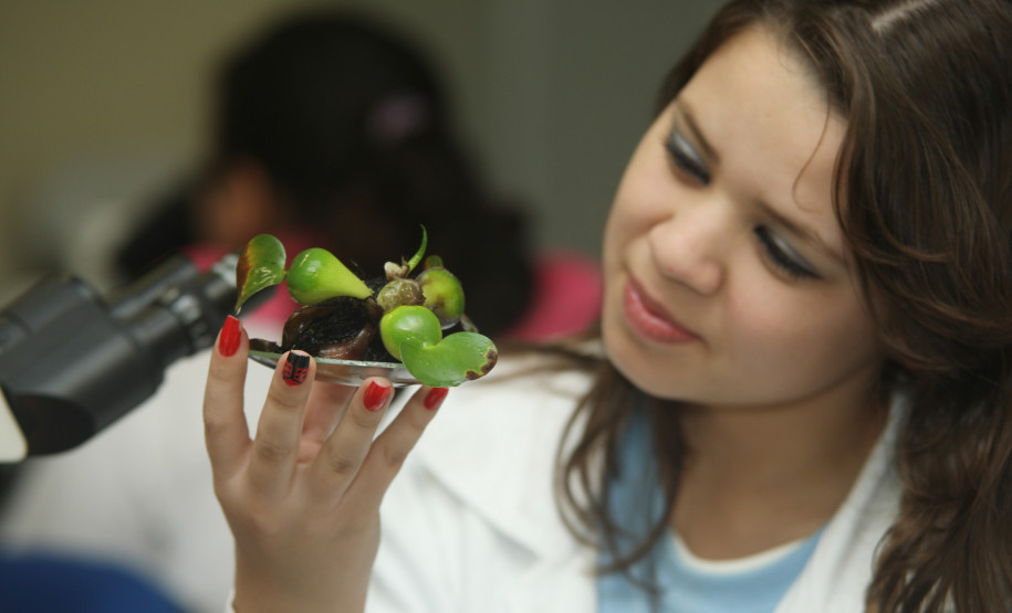 Durante a Semana Newton Freire Maia estudantes de cursos profissionalizantes assistiram a palestras e ministraram oficinas a cerca de 600 alunos de escolas da região de Pinhais.