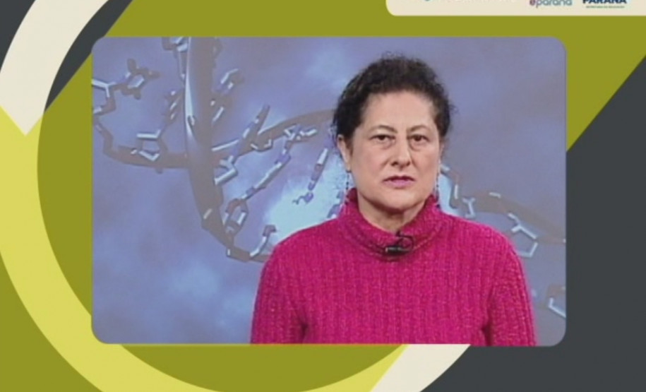 Último episódio do Gabaritando Enem teve professores de várias disciplinas tirando dúvidas de alunos enviadas através do Twitter.