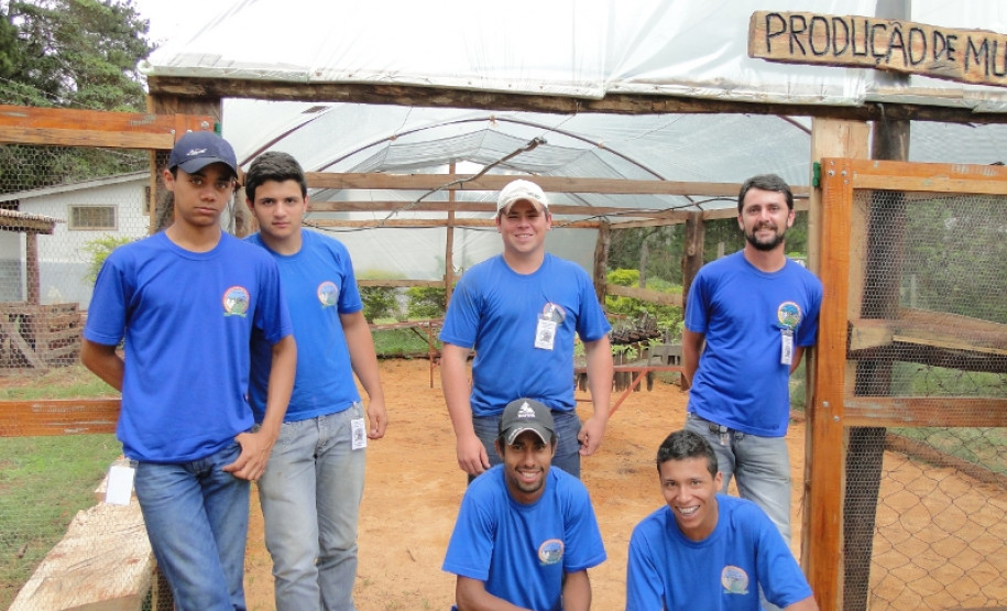 Produção de mudas.