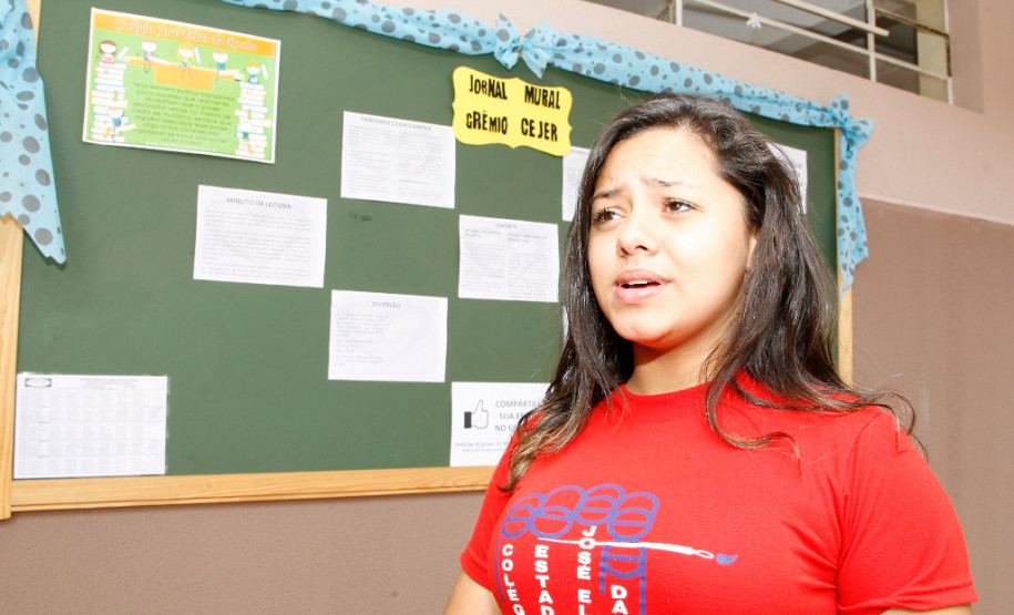 Cidade de Ponta Grossa, Colégio Estadual José Elias da Rocha, na foto a aluna Caroline Lacerda. 31-10-13.