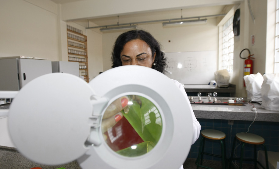 Colégio Estadual Paulo Leminski, professora Claudemira Vieira Lopes. 31-10-13.