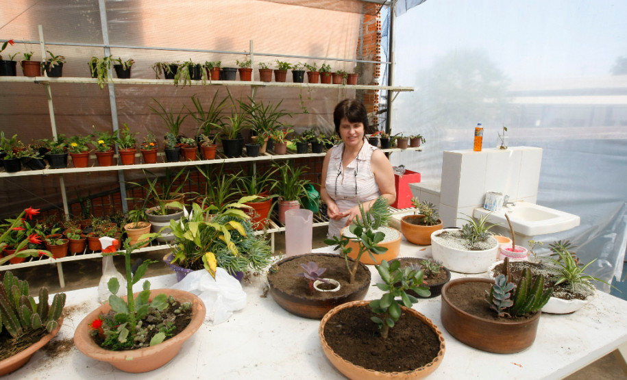 Apae de Palmeira, na foto Alice de Fatima de Paula. 31-10-13.