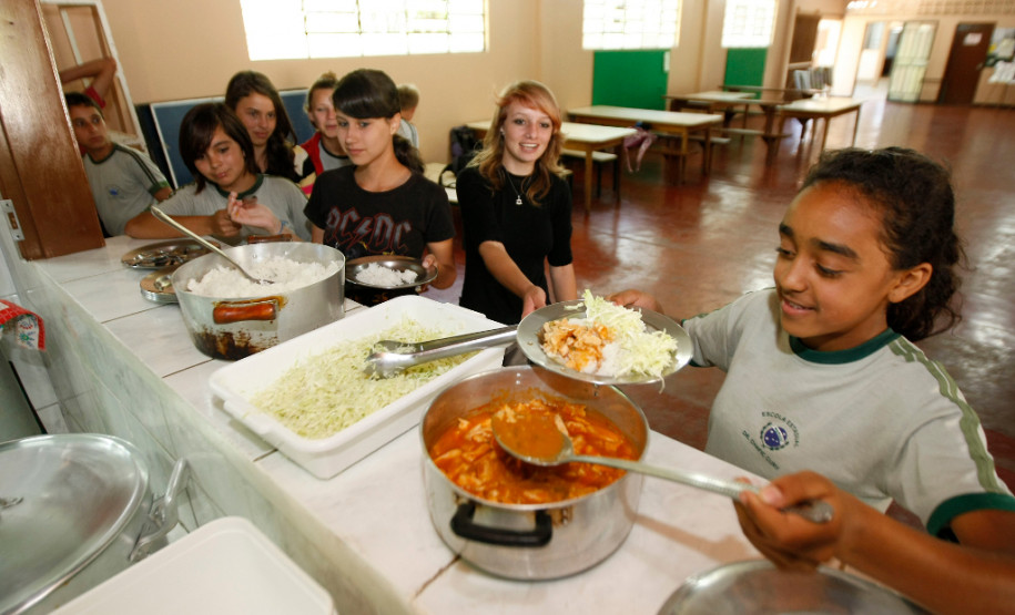 Rio Azul, Colegio Estadual Dr. Chafic Cury, na foto a aluna Schaene de Souza. 14-11-13.