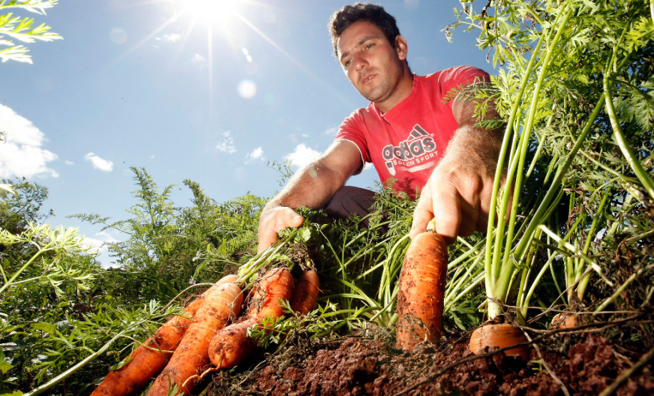 Agricultura Familiar, Cidade de Arapongas, familia de João Paulo e seus pais na horta. 24-09-13.