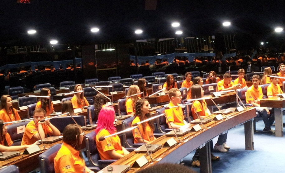 Estudante de 15 anos foi a 3ª colocada no concurso Jovem Senador. Sugestões da paranaense podem ser convertidas em projetos de lei.