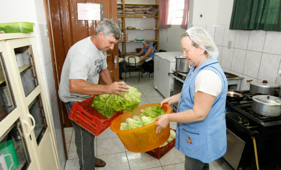 Rio Azul, agricultura familiar, na foto o agricultor Leocir Mangoni. 14-11-13.