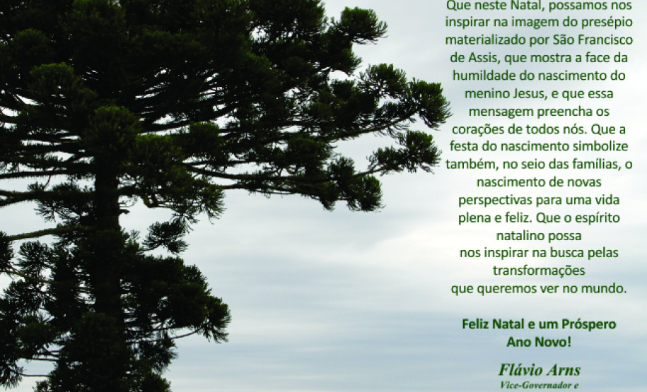 Confira a mensagem de natal do vice-governador e secretário da Educação Flávio Arns para as comemorações de final de ano.