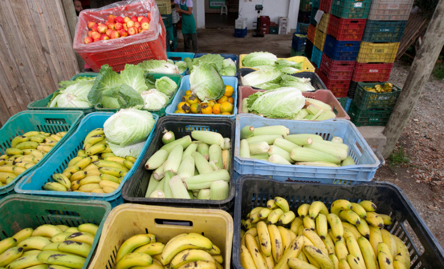 11-03-13 - Colombo - AOPA, Associação para Desenvolvimento da Agroecologia.
