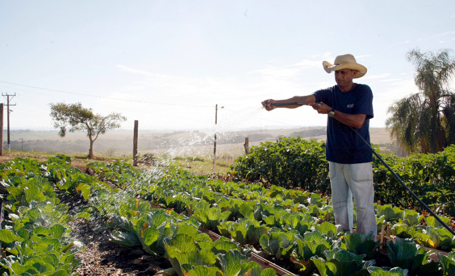 Começa nesta segunda (27) a matrícula de agentes educacionais selecionados para os cursos técnicos do Profuncionário. São 1.750 vagas nos cursos técnicos em Alimentação Escolar e em Infraestrutura Escolar para agentes I, e em Secretaria Escolar, em Multimeios Didáticos e em Biblioteca para agentes II.Na rede estadual, o agente educacional I trabalha em serviços gerais, merenda escolar e como tratorista ou motorista, e o agente educacional II na secretaria do estabelecimento de ensino.