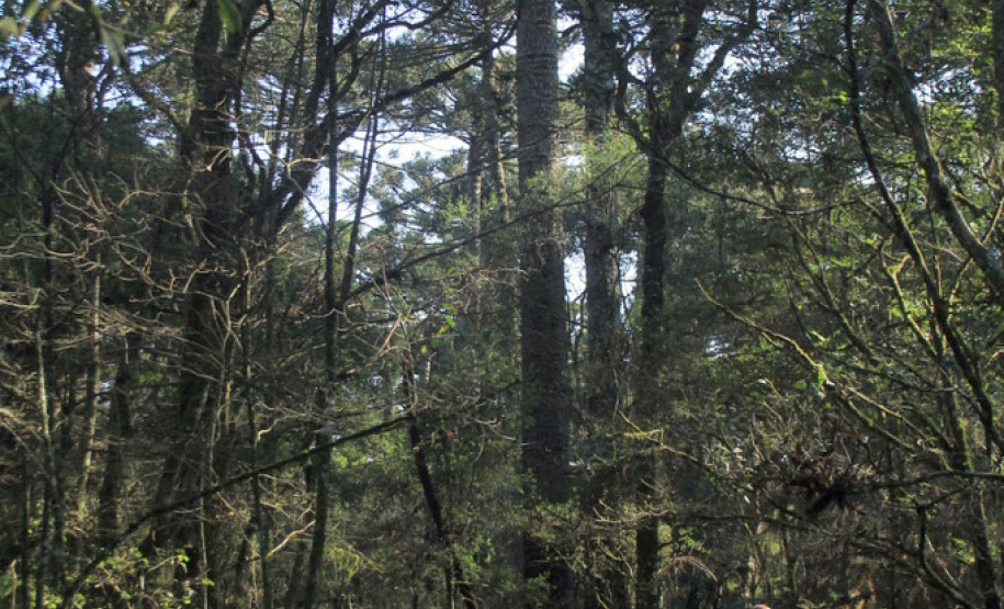 Iniciativa ganhou o 21º Prêmio Expressão de Ecologia, a maior premiação ambiental da região Sul do Brasil, na categoria educação ambiental.